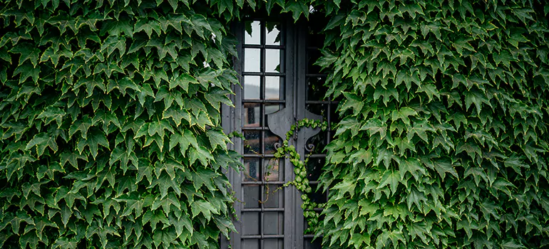 Garden Gate Repair in Glenvar Heights, FL