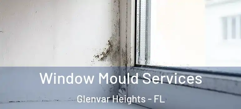 Window Mould Services Glenvar Heights - FL